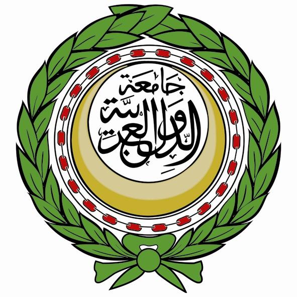 أبو الغيط يدين العدوان الإيراني على الكويت والبحرين والأردن